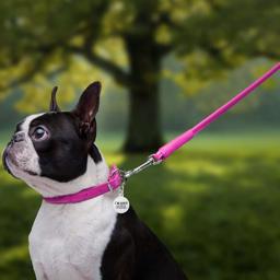Waudog Rundsydd Läder Koppel med Handtag Pink